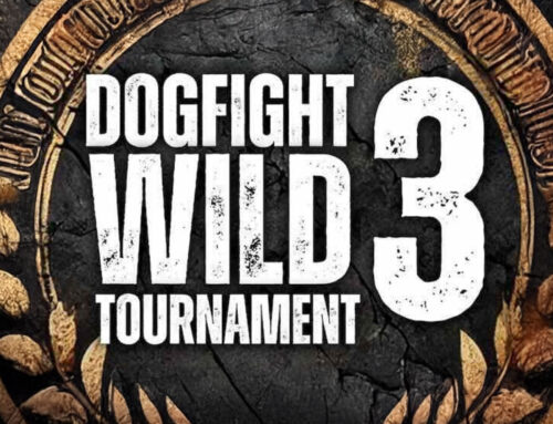 Dogfight Wild