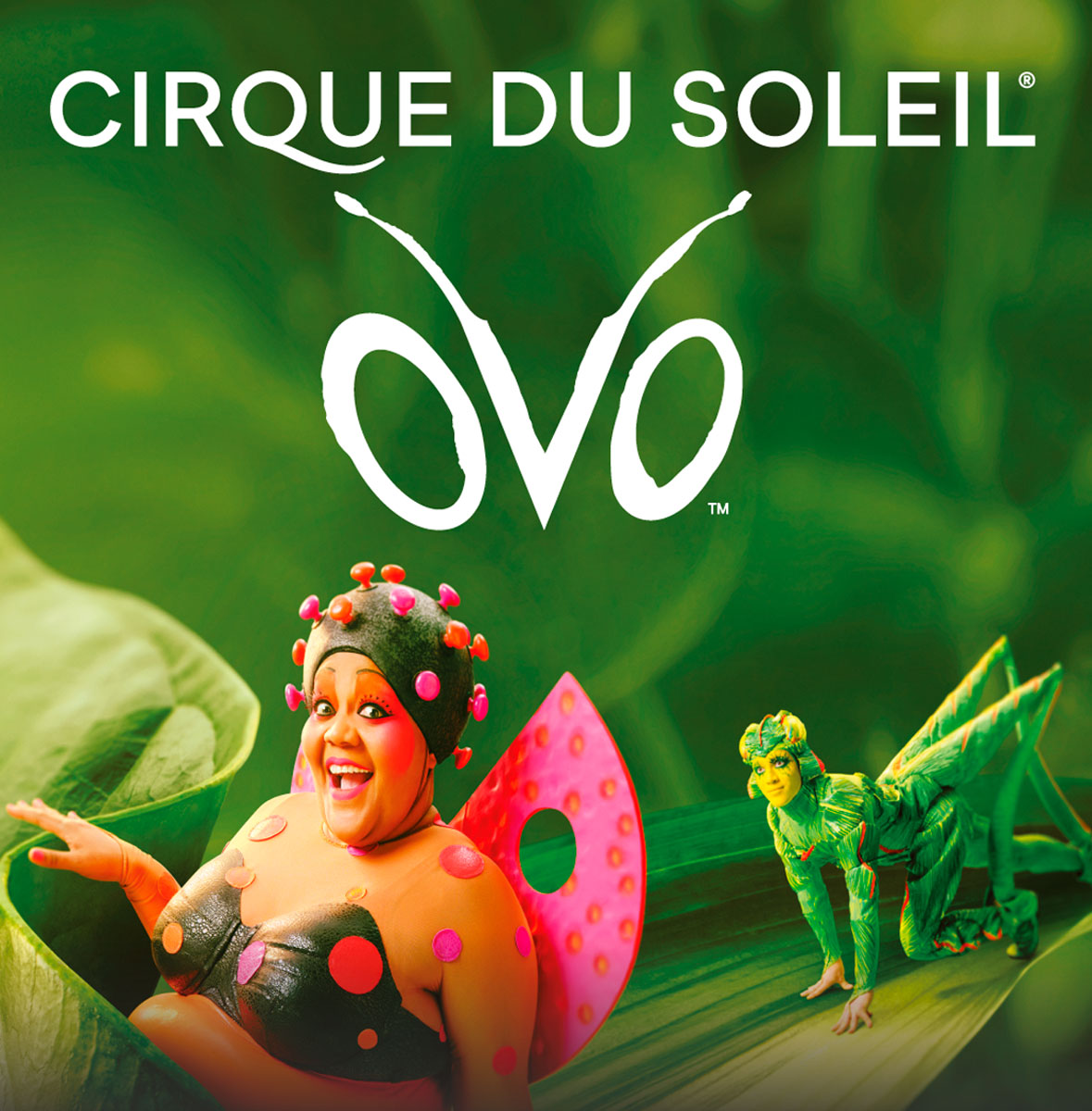 Cirque-du-Soleil Destacada Cirque du Soleil